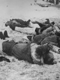 014 Fronte russo 11-1942 dopo combattimento