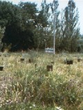 03.Immagine recente dell'area del cimitero denominato Gorlovka1
