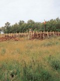 06.Immagine recente dell'area cimiteriale di Vodjanckij