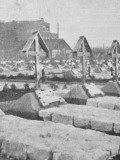 03.Tombe nel cimitero campale di Vorošilovgrad